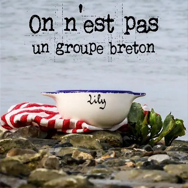 Pochette : On n'est pas un groupe breton (Radio edit)